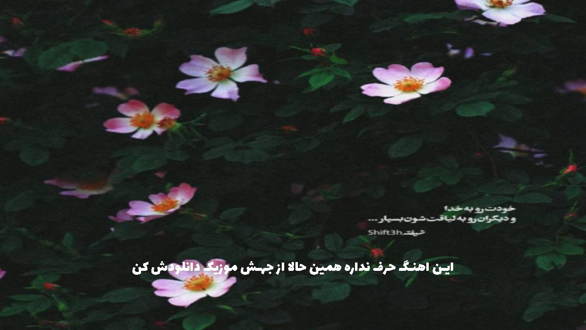 دانلود آهنگ کردی دیوونم بیبی کردی دیوونم از آرتا